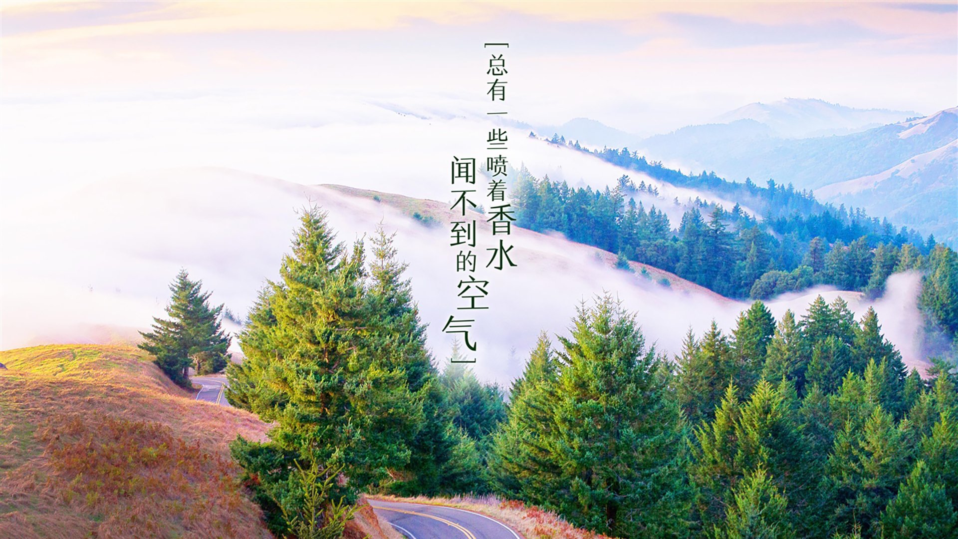 媒体开放日首次开放战术课引发广泛讨论与分析,媒体开放日活动方案
